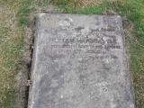 image of grave number 480299